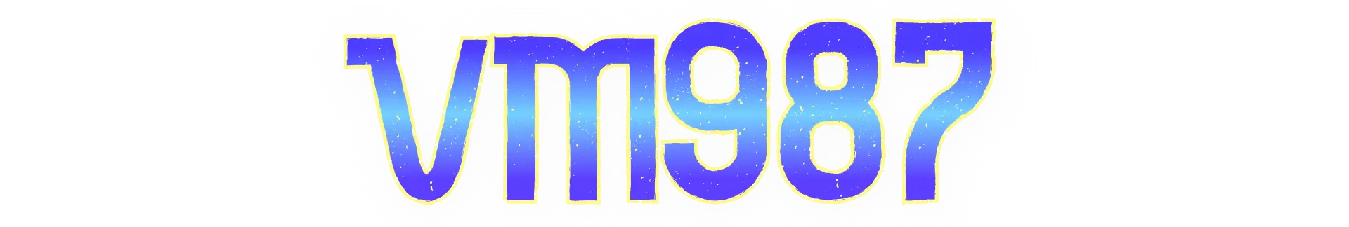 VM987